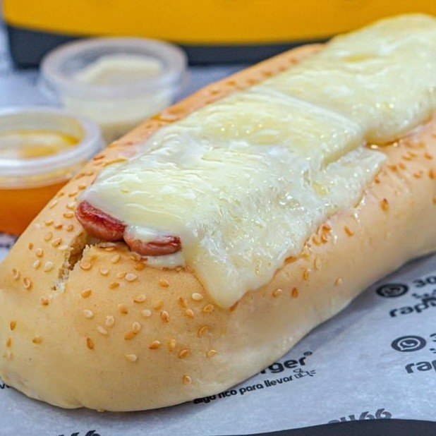 Perro Suizo